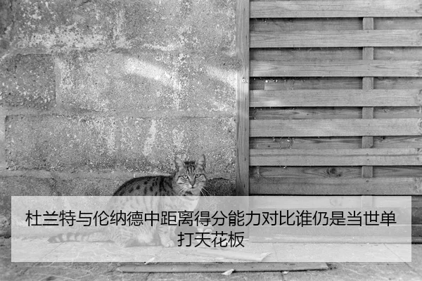 杜兰特与伦纳德中距离得分能力对比谁仍是当世单打天花板