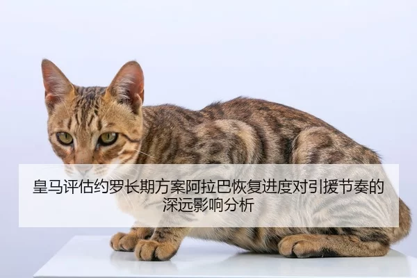 皇马评估约罗长期方案阿拉巴恢复进度对引援节奏的深远影响分析