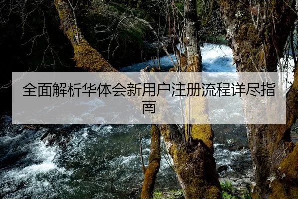 全面解析华体会新用户注册流程详尽指南