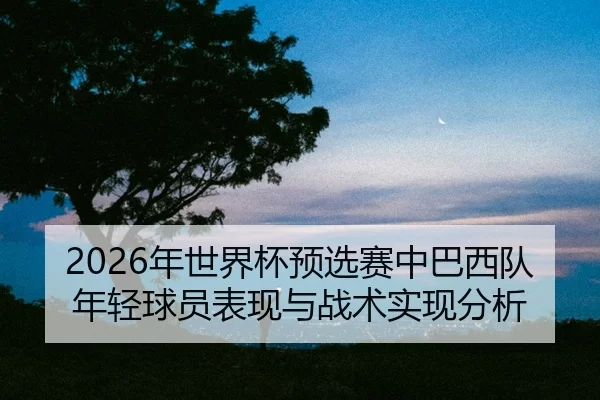 nian-shi-jie-bei-yu-xuan-sai-zhong-ba-xi-dui-nian-qing-qiu-yuan-biao-xian-yu-zhan-shu-shi-xian-fen-xi-2-135.jpg