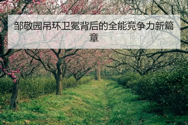 zou-jing-yuan-diao-huan-wei-mian-bei-hou-de-quan-neng-jing-zheng-li-xin-pian-zhang-2-133.jpg
