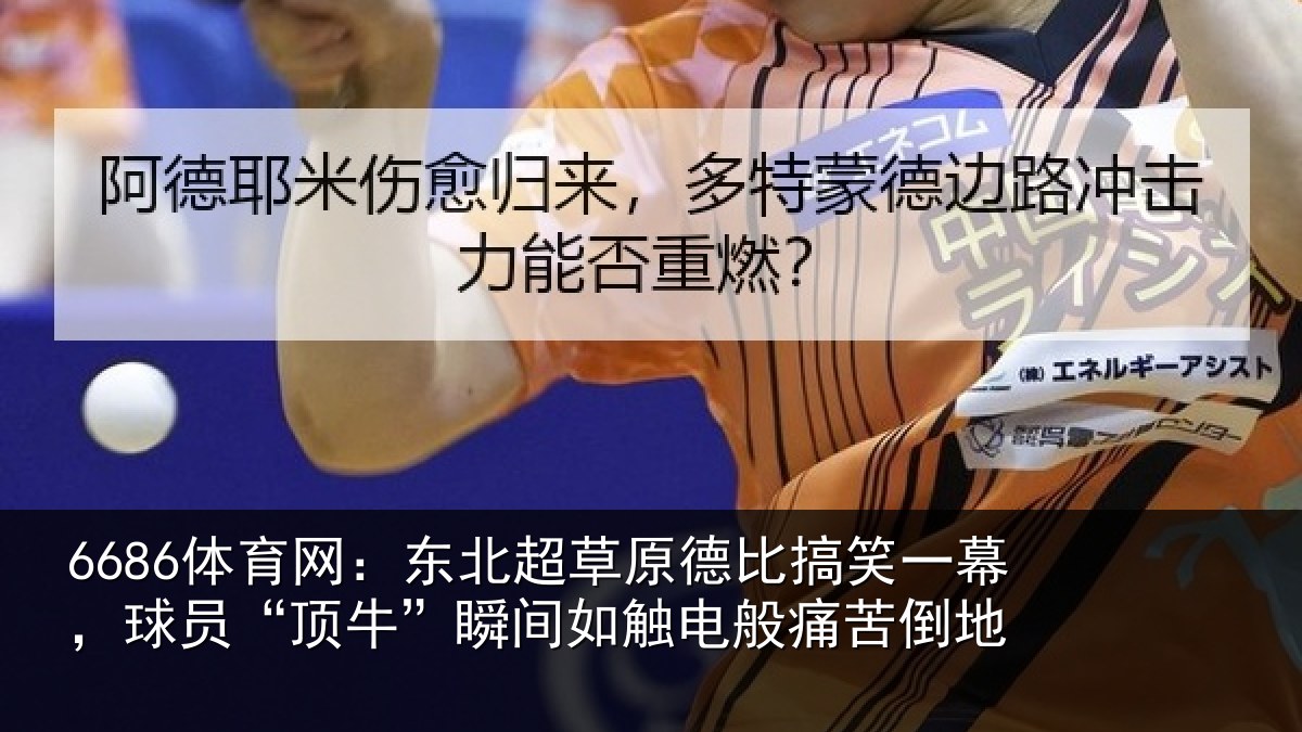 6686体育网:东北相关情况幕球相关情况般痛苦倒地