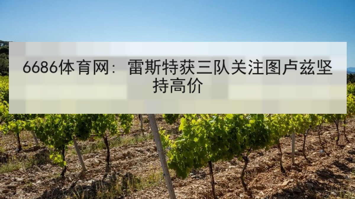 6686体育网: 雷斯特获三队关注图卢兹坚持高价
