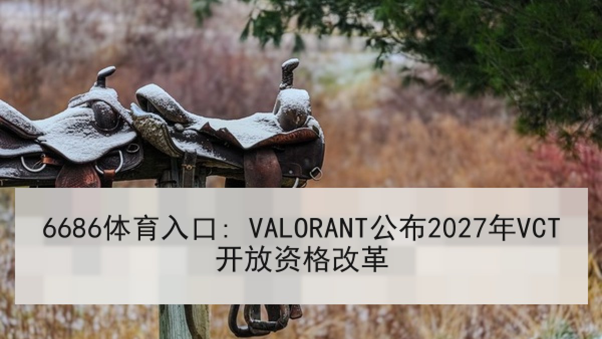 6686体育入口: VALORANT公布2027年VCT开放资格改革